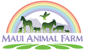Maui Animal Farm
