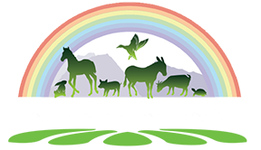 Maui Animal Farm